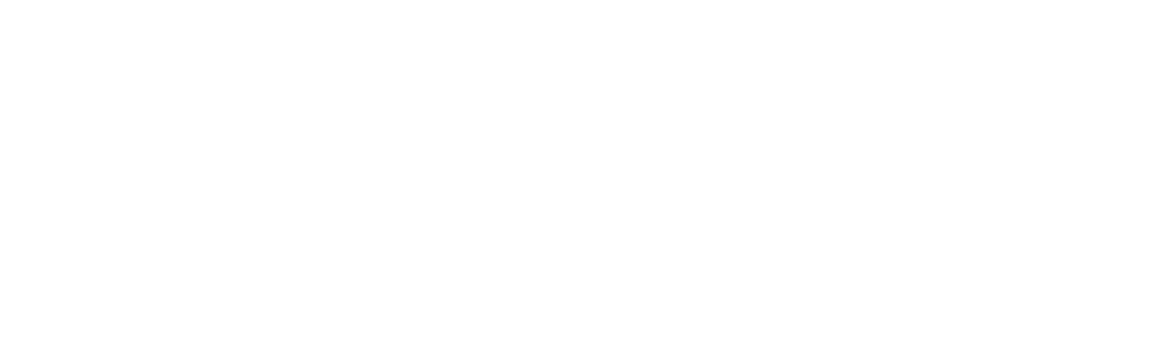 logo PoseInsertChemineeFrance